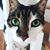 Amy Reid's profile image