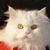 Marie Pepi's profile image
