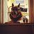 Jimmy Campbell's profile image
