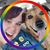 Mindy Harward-Johnson's profile image