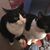 Terrie Larkin Pavlock's profile image