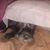 Rhoda Phillips's profile image