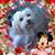 Lori Fox's profile image