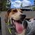 Michael A Bozarth's profile image