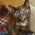 Jean Cassell's profile image
