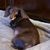 Karen L Thrap's profile image