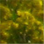 Anonymous's profile image