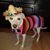 Linda McKenzie's profile image