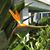 Lisa Bell's profile image