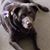 Kay Elizabeth Baker-pfleeger's profile image