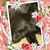 Karen Hoppe's profile image