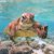 John Walter Boger's profile image