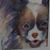 Sharon Donahue Blackstock's profile image
