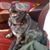 Amy Valentine Ansbaugh's profile image