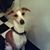 Kim Shipley Harwood's profile image