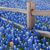 Becke Anderson's profile image
