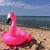 EricandMelissa Byers Bohnke's profile image