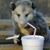 Becky Morris's profile image