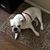 Pamela Richards Sennott's profile image