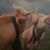 Victoria Veldon's profile image