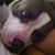 Eduardo Robles's profile image