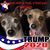 Laura Dion-Jones's profile image