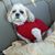 Joann Lange's profile image