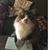 Doug Rice's profile image