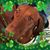 Michele Mcnamara's profile image