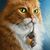 Janis Hauptly's profile image