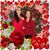 Socorro Frausto's profile image