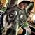 KC Humphries's profile image