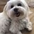 Val Fuller's profile image