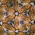 Alicia Rodriguez-Barrera's profile image