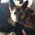 Joyceann Summey's profile image