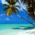 Debbie Tanzosh's profile image