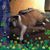 Kristie Koester's profile image