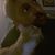 Dakotah Green's profile image