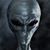 Fawn Carr's profile image