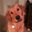 Brandon Cayton's profile image