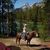 Karen Warren Rogers's profile image