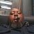 Travell Robinson's profile image