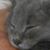 Catherine Kelly's profile image
