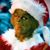 Meg Younkin's profile image