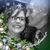 Lisa Sturgill Wilcox's profile image