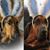 Miriam Herzog's profile image