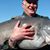 Tim Strausbaugh's profile image