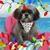 Mary Speer's profile image