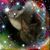 Gloria Endres's profile image