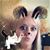Rhonda Cox Robertson's profile image